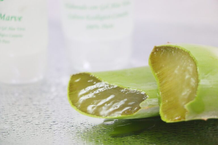 aloe vera